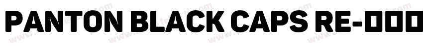 Panton Black Caps Re字体转换